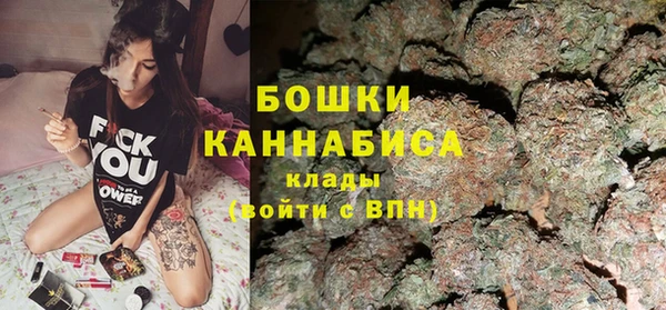 бошки Алексин