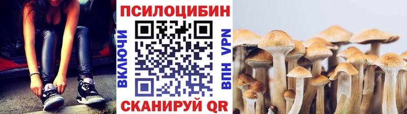 Псилоцибиновые грибы ЛСД  где купить наркоту  ссылка на мегу ТОР  Сорск 